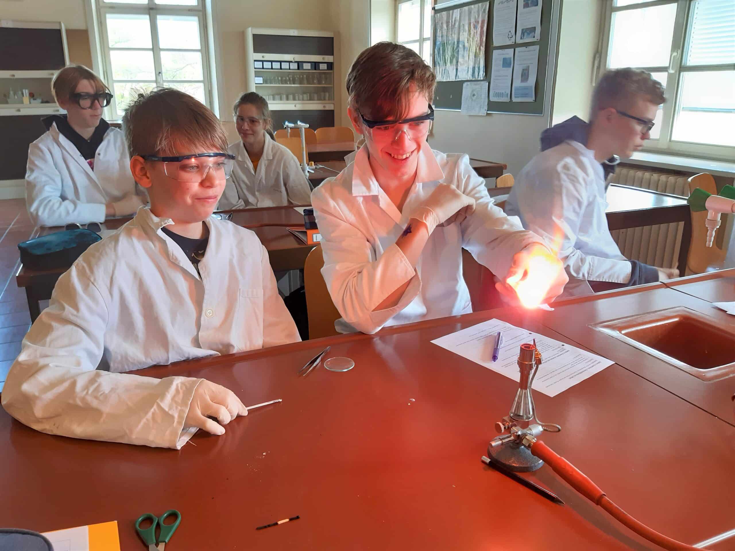 Mehr über den Artikel erfahren Chemie-Projekt: Was in meinem Smartphone steckt 