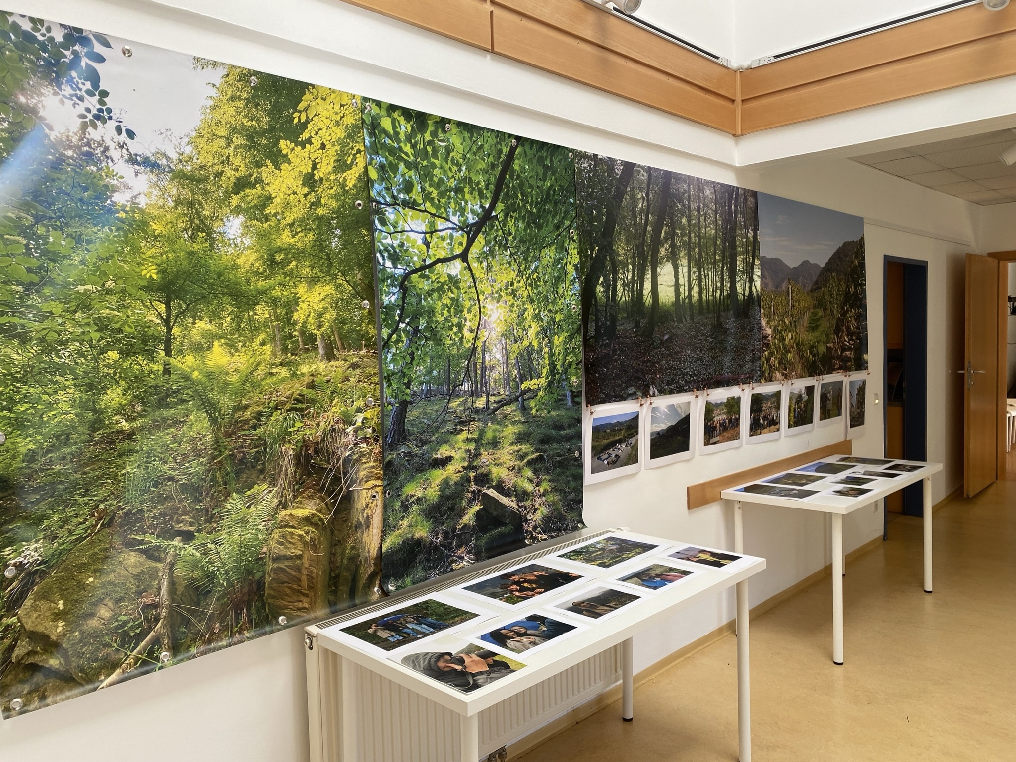 Mehr über den Artikel erfahren ART EXPEDITION WACHAU – Vernissage im Jugend Kulturraum Krems