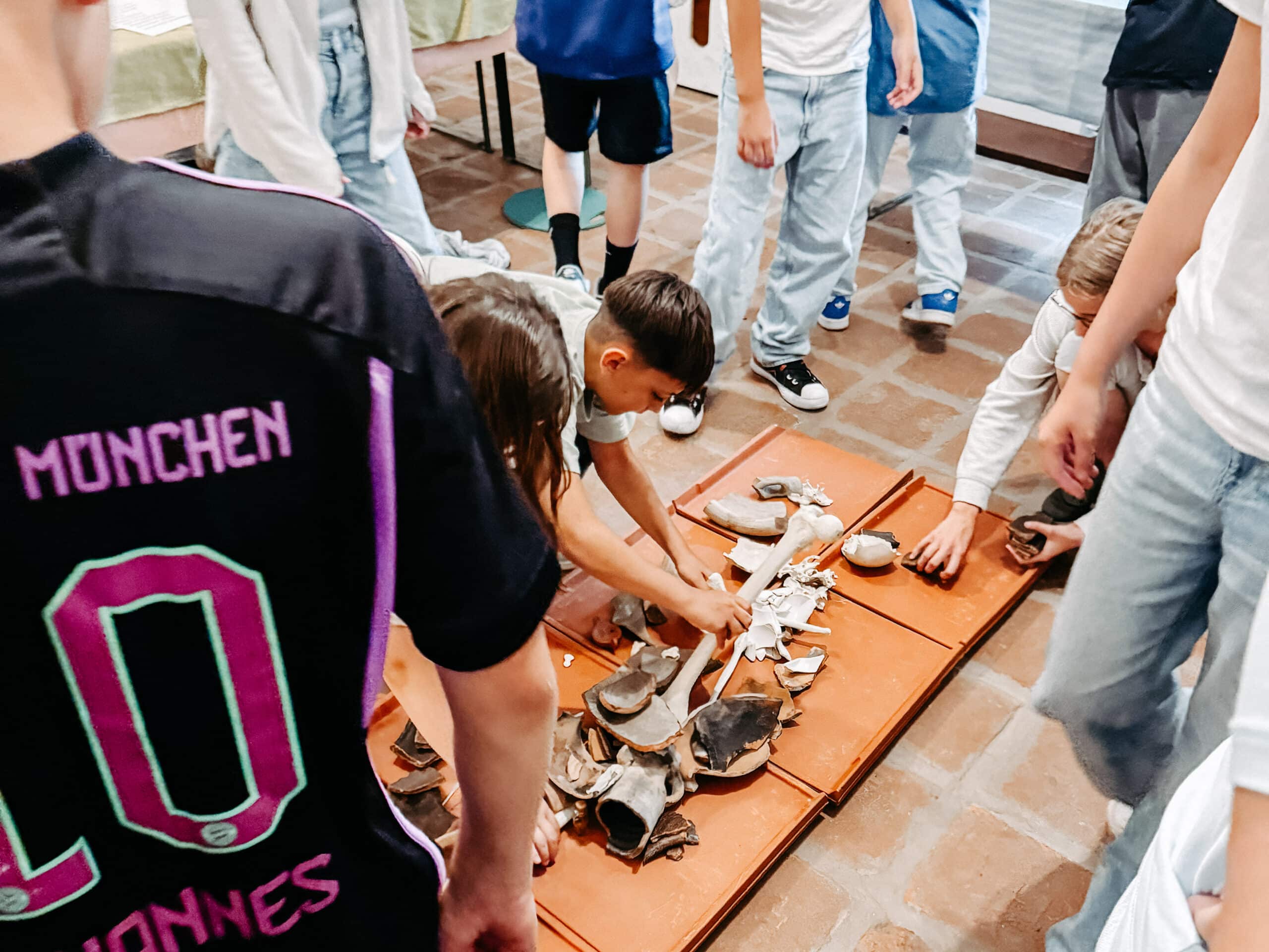 Mehr über den Artikel erfahren 2A Exkursion Römermuseum Tulln