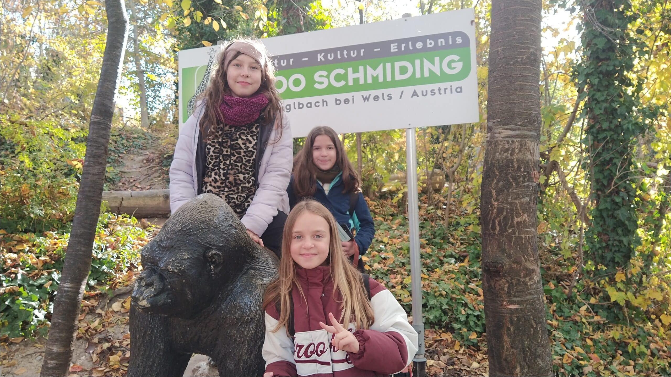 Mehr über den Artikel erfahren Klassen 1C und 1E mit Giraffen auf Augenhöhe